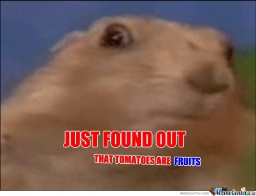 chipmunk
