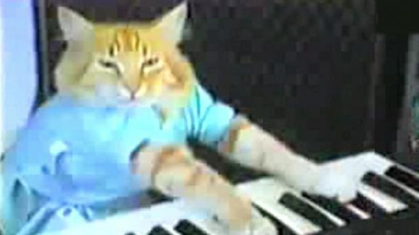 keyboardcat