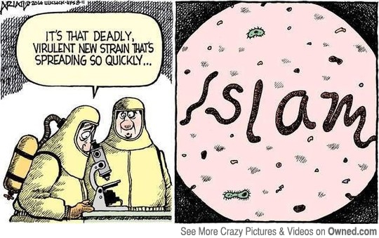 more_deadly_than_the_ebola_virus_540