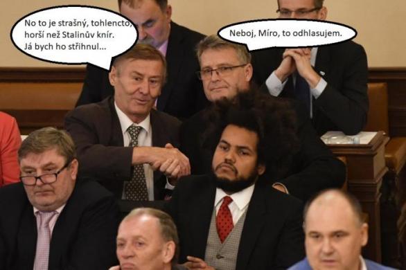 Příslušníky KSČM ve Sněmovně pohoršuje výrazný účes kolegy Feriho.