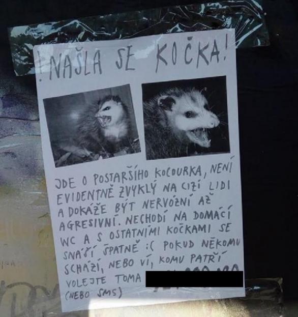 Podivný inzerát, který se šíří českým internetem. Nikdo z těch, kdo zavolali „Tomovi“, nečekal, že se dovolá Tomio Okamurovi.