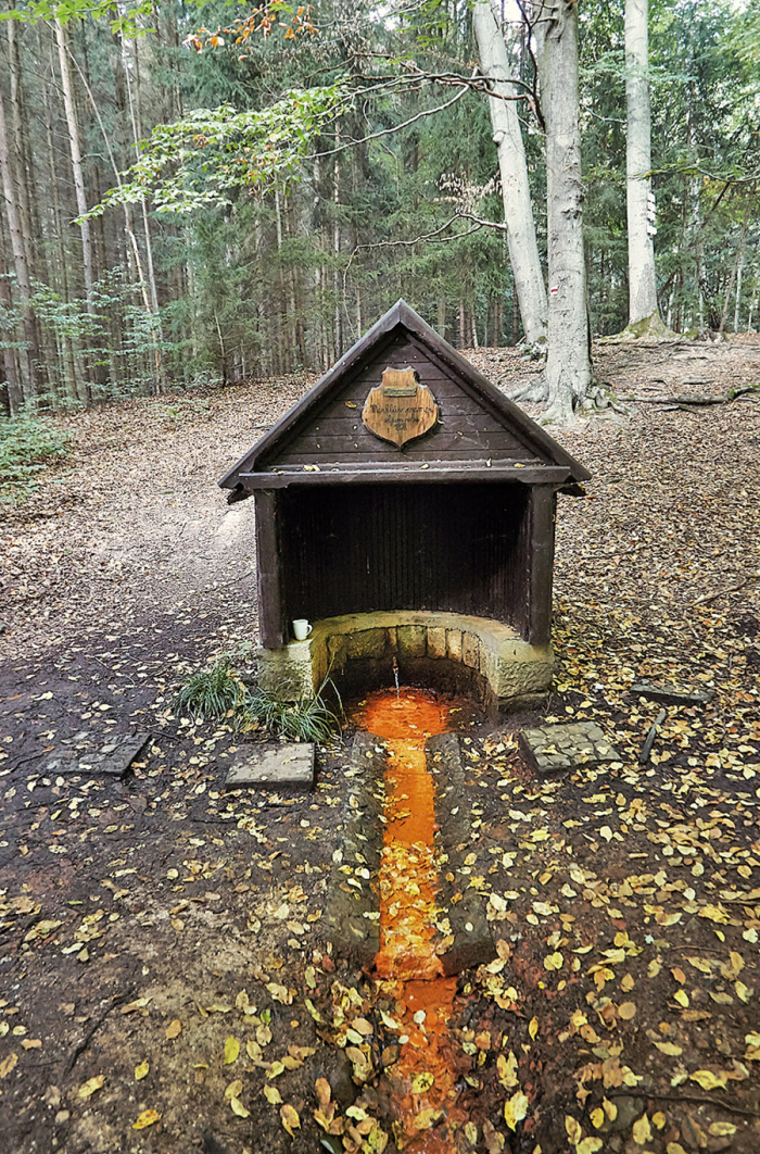 Merklův pramen uprostřed křivoklátských lesů, kolem něhož kdysi stávaly malé, ale slavné lázně.