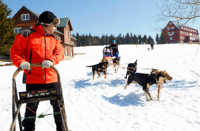 Naučit se řídit psí spřežení není těžké, zvláště když s vámi jede zkušený musher