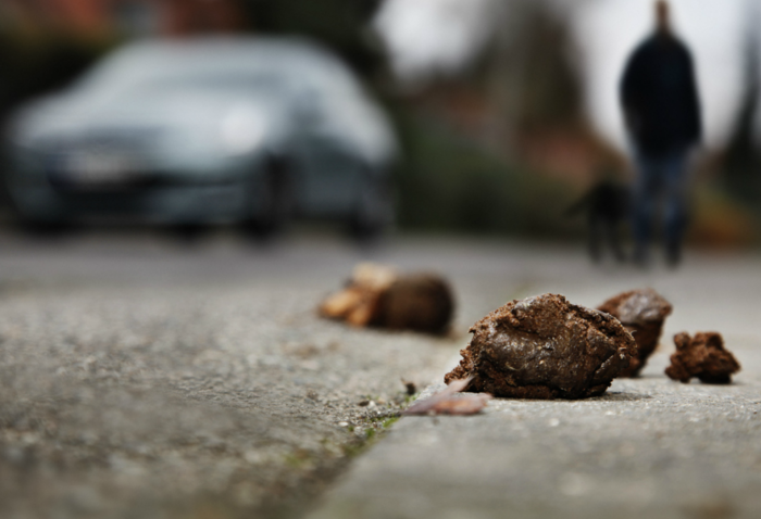 Tohle zmizí – spolu se svými čtvernohými průvodci...
