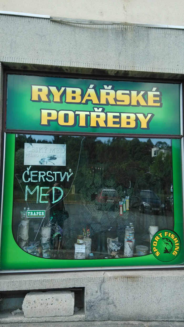 Včely a ryby jedno si tak podobní