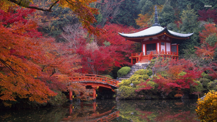 Jo, Kjótó jede. Byla snad anketa zmanipulována a hlasující čtenáři placení z japonské ambasády? 