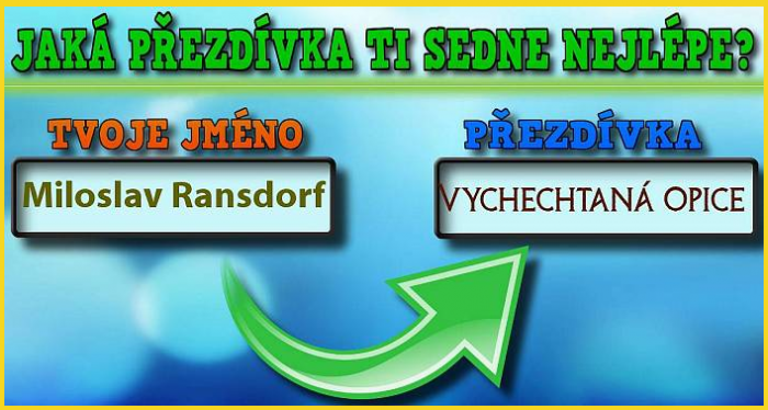 V soudružském kolektivu je bezpochyby oblíben