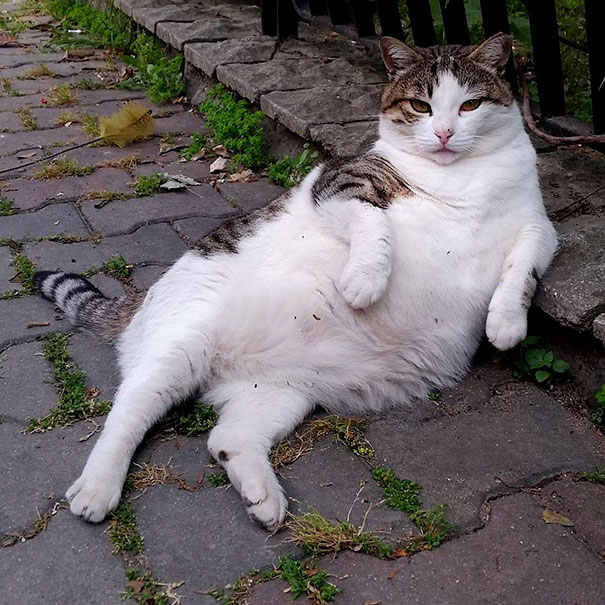Odpočívej v pokoji, Tombili