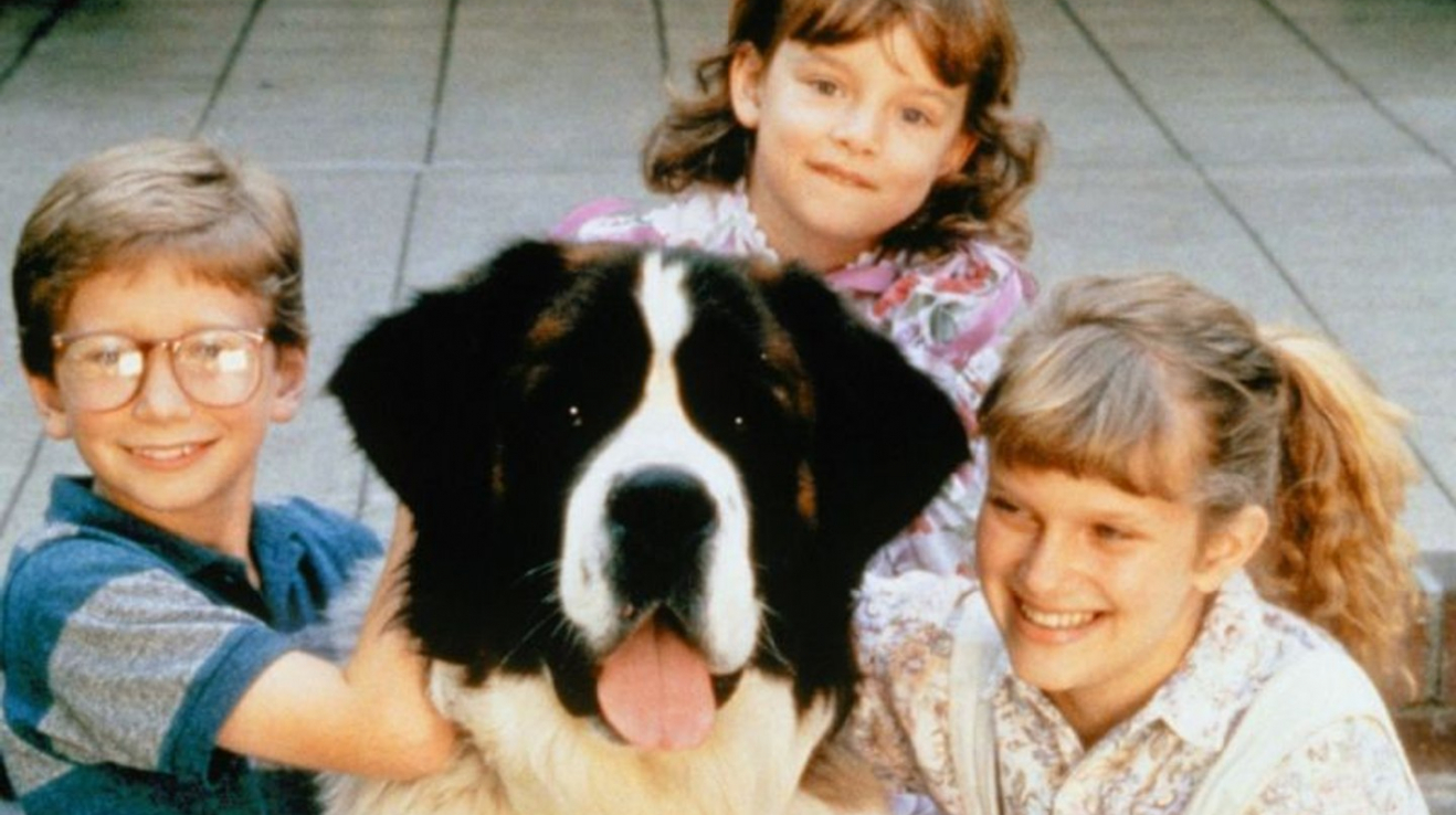 Beethoven – Všemi milovaný bernardýn Beethoven ze stejnojmenného filmu se dočkal hned několika pokračování, ve kterých nás přesvědčil o tom, že je normální, když zablácení psi skáčou do postele.