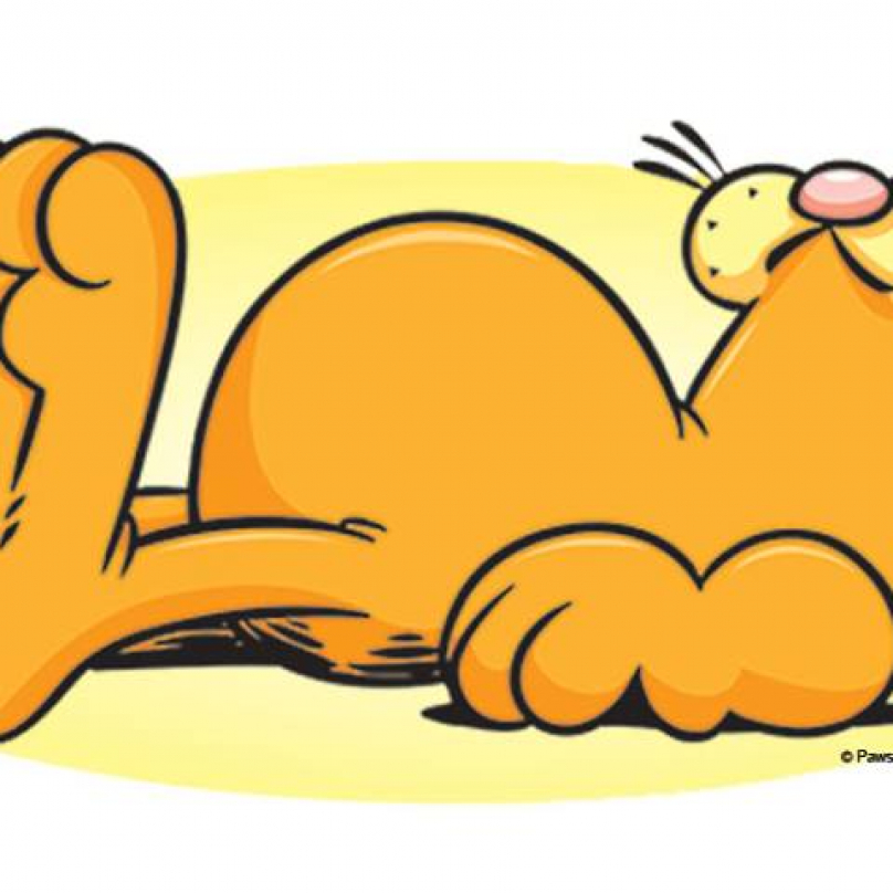 Garfield slaví čtyřicítku!