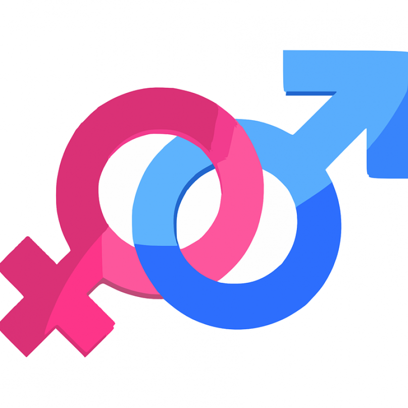 3.Genderová studia