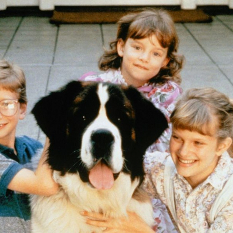 Beethoven – Všemi milovaný bernardýn Beethoven ze stejnojmenného filmu se dočkal hned několika pokračování, ve kterých nás přesvědčil o tom, že je normální, když zablácení psi skáčou do postele.