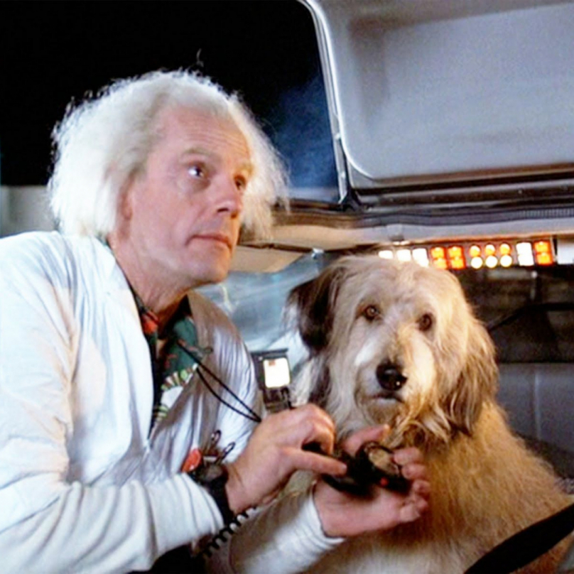 Einstein – Profesorův pes Einstein byl nejvěrnějším přítelem v cestování časem ve filmu Návrat do budoucnosti. To každý ví.