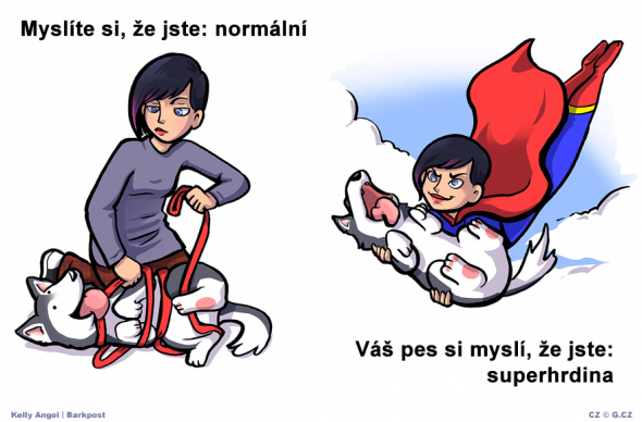 8. Takoví normální superhrdinové