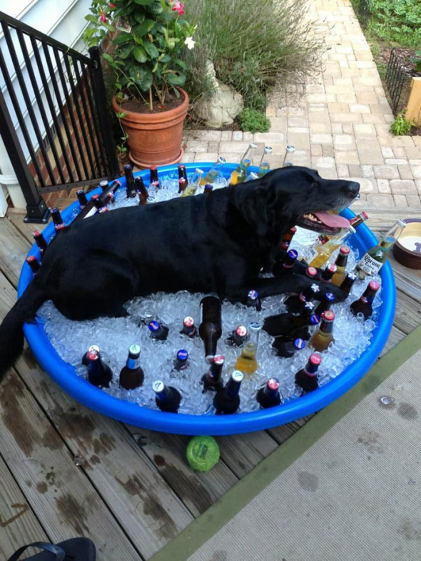 1. Party hard!