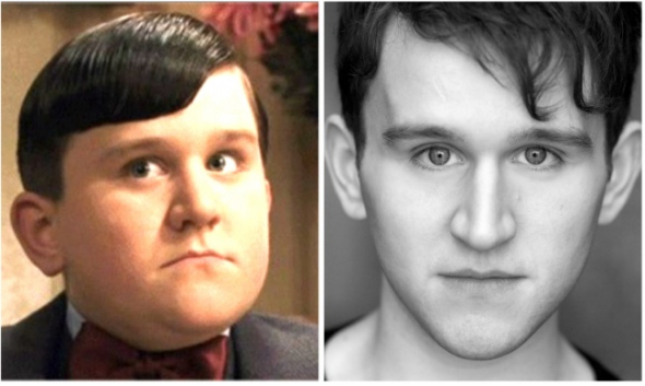 15. Dudley Dursley, kterého hrál Harry Melling