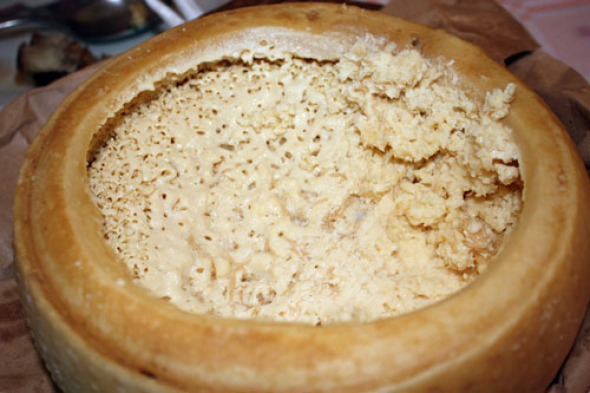 4. Casu Marzu