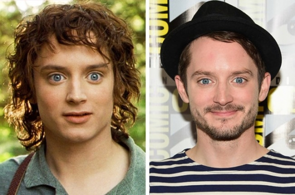 Frodo Baggins (Elijah Wood)