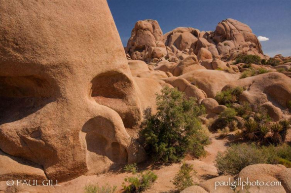 16. Skála, která vypadá jako lebka, Joshua Tree národní park, Kalifornie