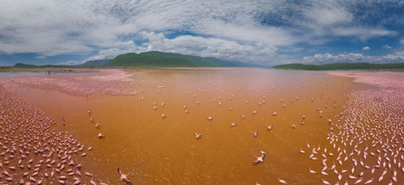 Jezero Bogoria v Keni