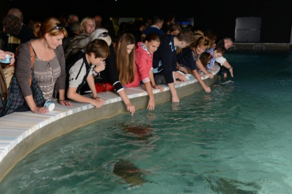 7. Zoologická zahrada Zlín (Lešná) – 585 100 návštěvníků za rok